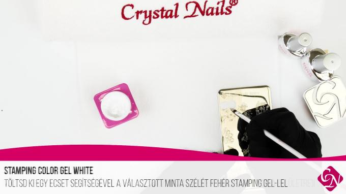 ÚJDONSÁG - Körömnyomda lemez Botanic